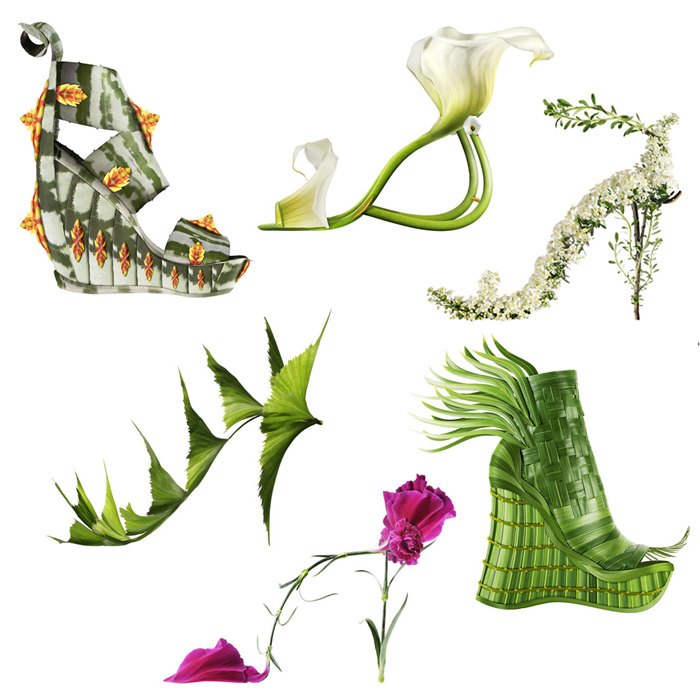 plants