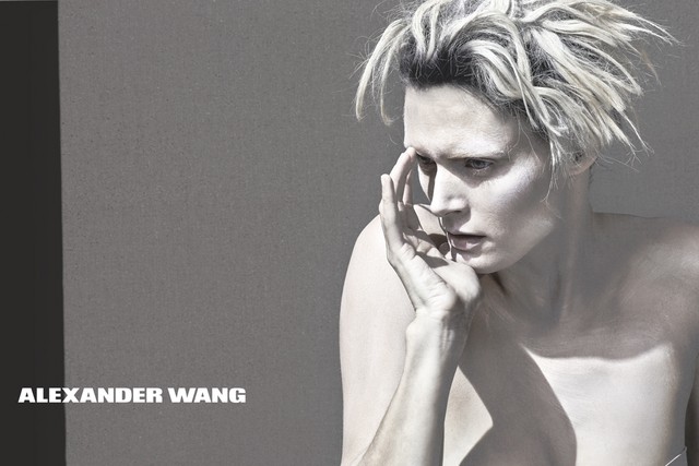 alexander wang estate 2013