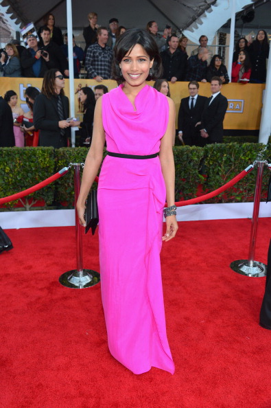 19th Annual Screen Actors Guild Awards - Red Carpet