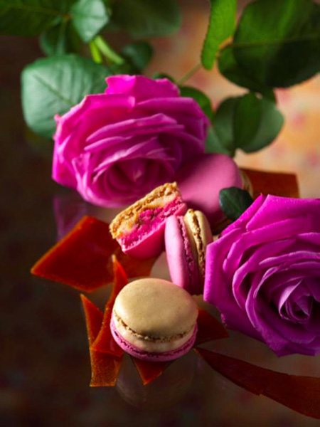 macarons pierre herme 2013 2