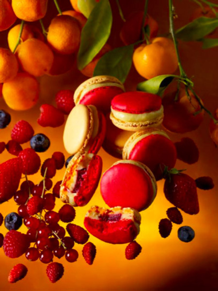 macarons pierre herme 2013 7