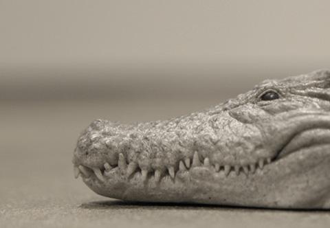 scarpe coccodrillo 4