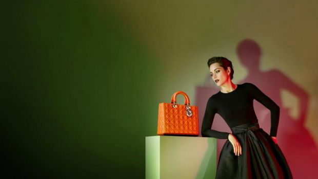 lady dior 2013