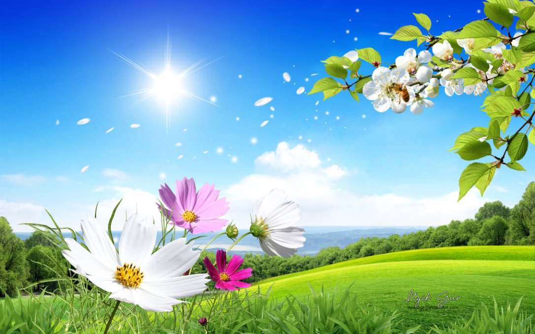 PRIMAVERA 3