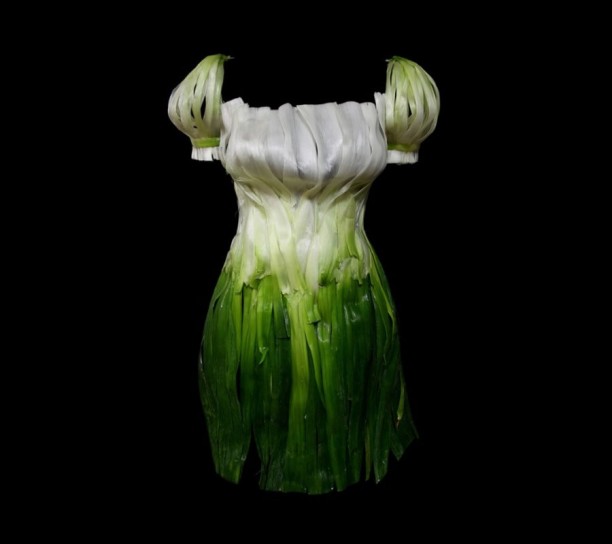 vestito di cipolle