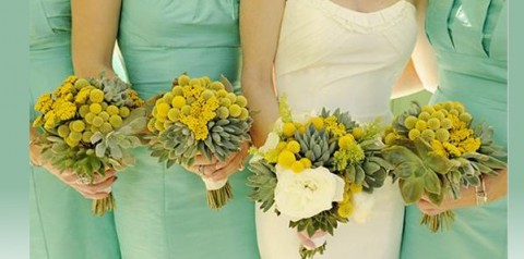 matrimonio menta 14