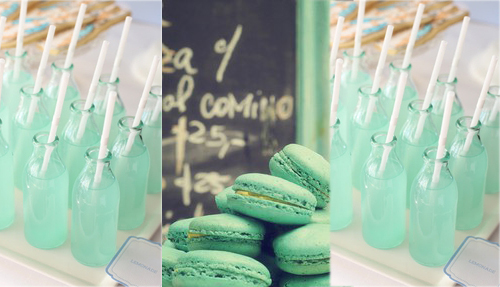matrimonio menta 15