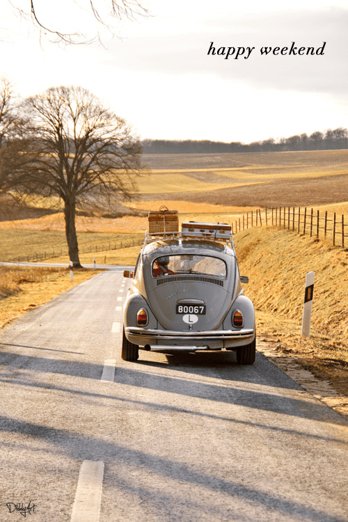 happy-weekend-bug