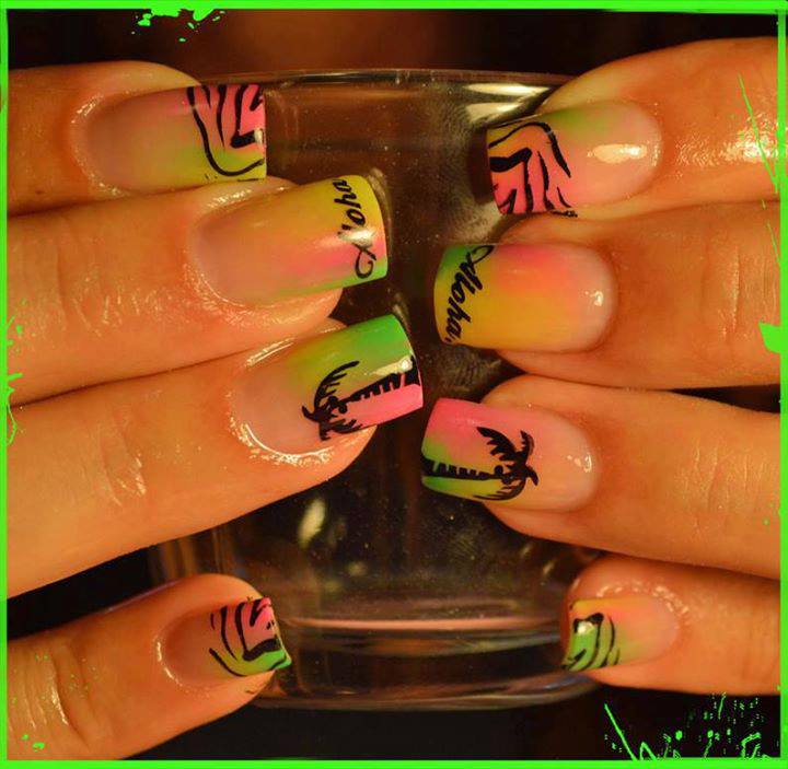 1229891_167347160121575_1181535573_n