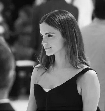 emma watson dior 2