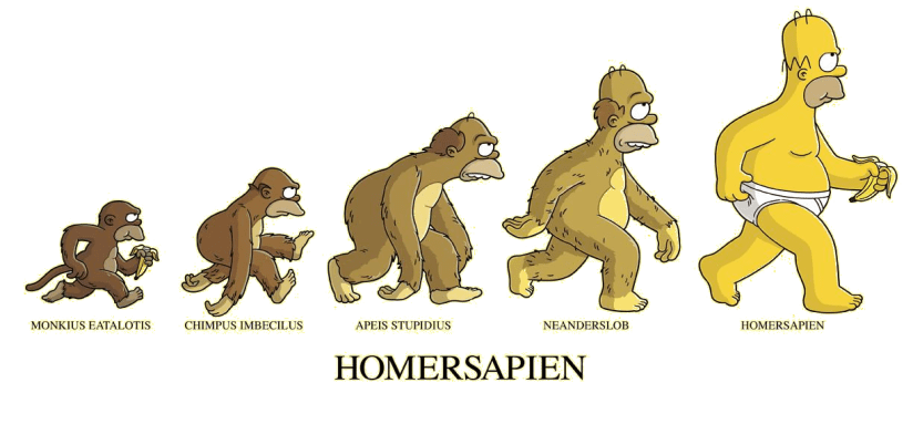 Evoluzione_dell'Homer_Sapiens