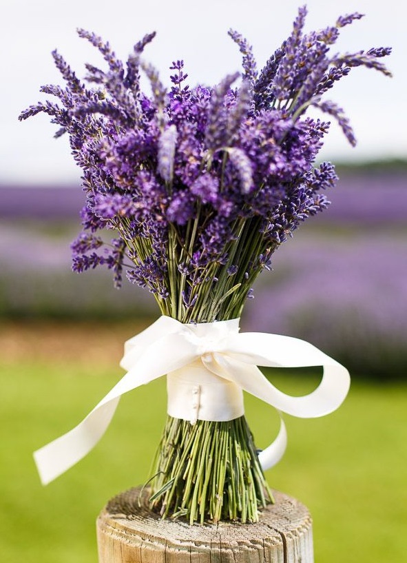 bouquet lavanda