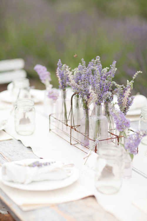 decorazioni matrimonio lavanda