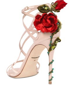 keira shoes 2015 d&g