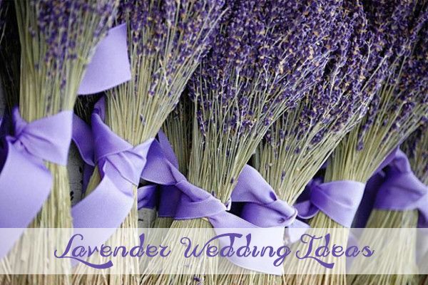 matrimonio lavanda