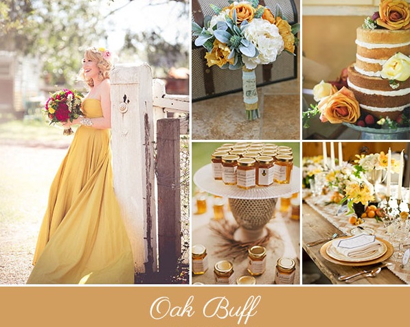 WEDDING- OAK BUFF 2015
