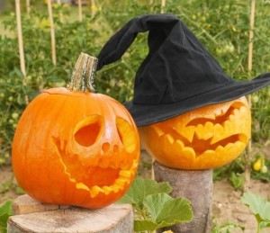 zucche-halloween-2015