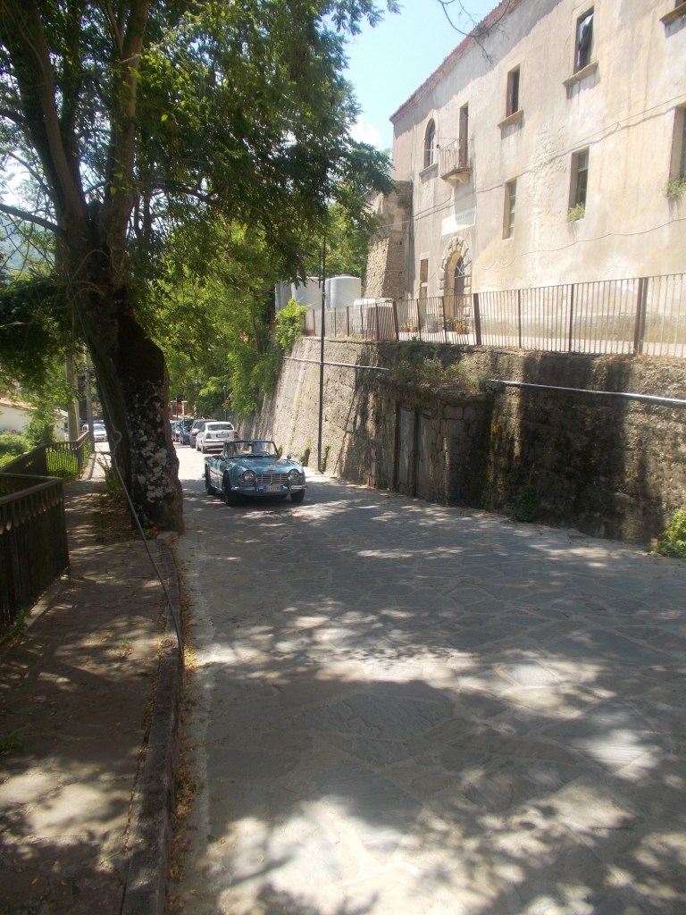 DSCN1473