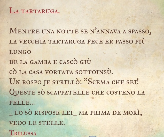 trilussa-tartaruga