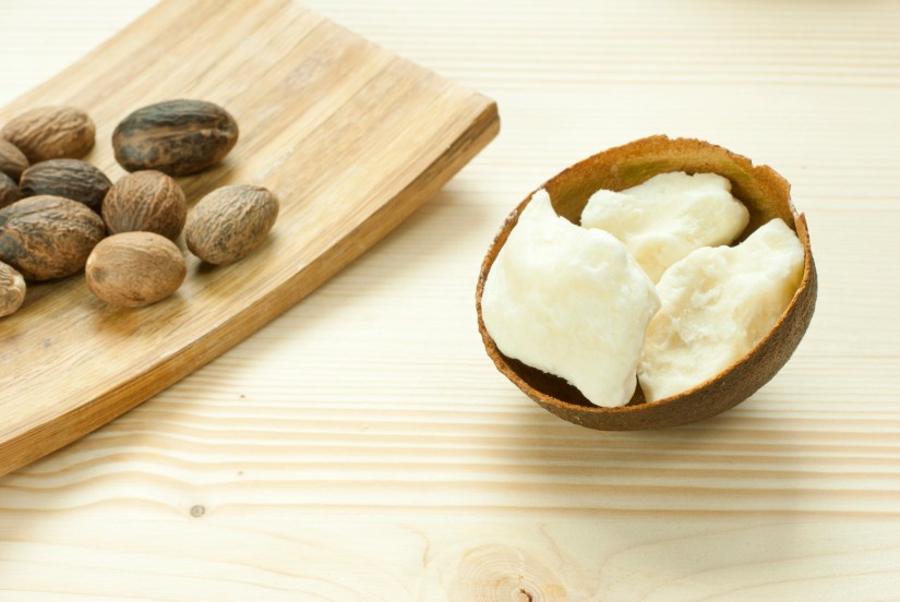 Shea butter nuts